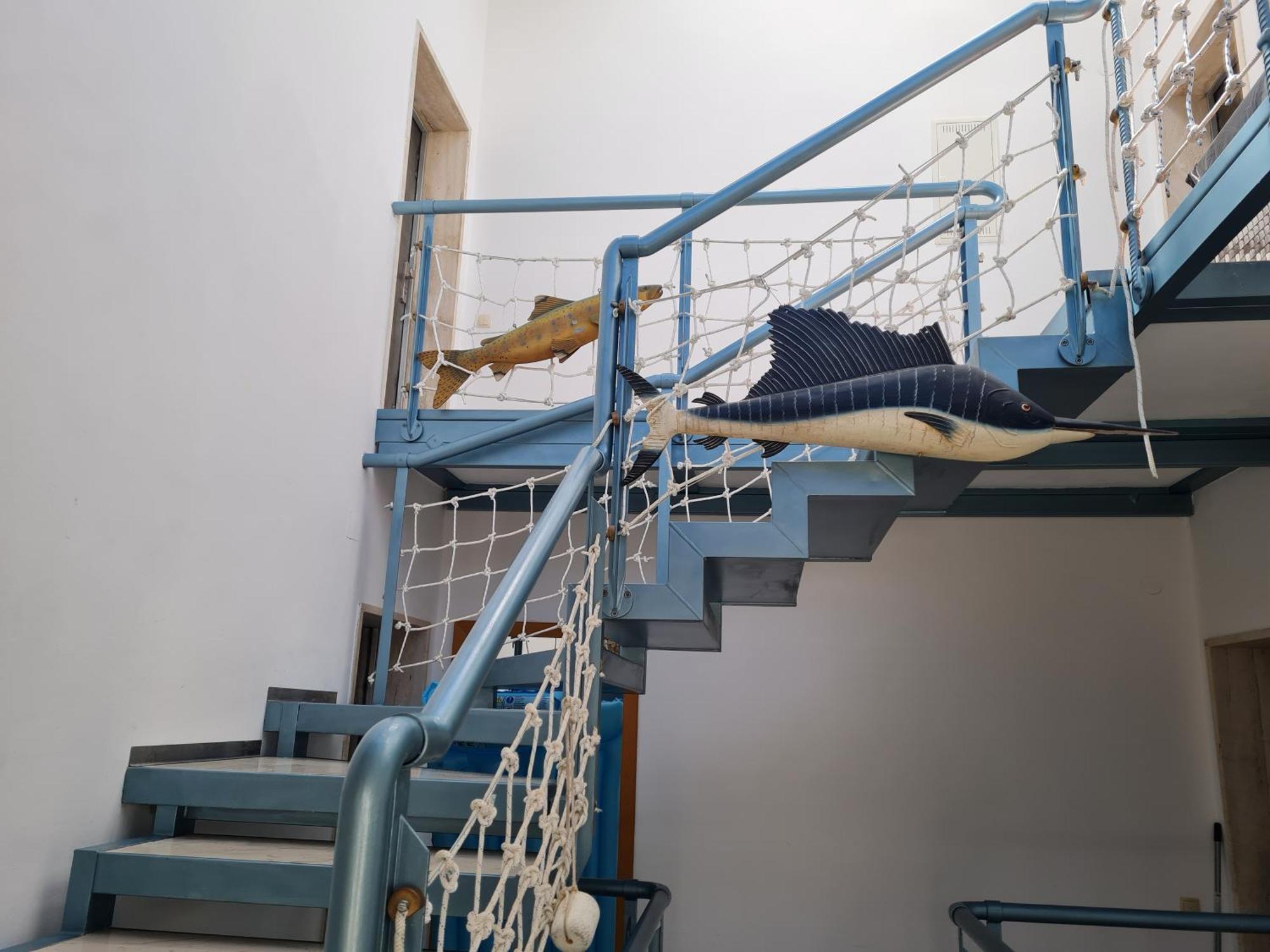 Fischer Haus Apartment Sveti Petar  Ngoại thất bức ảnh